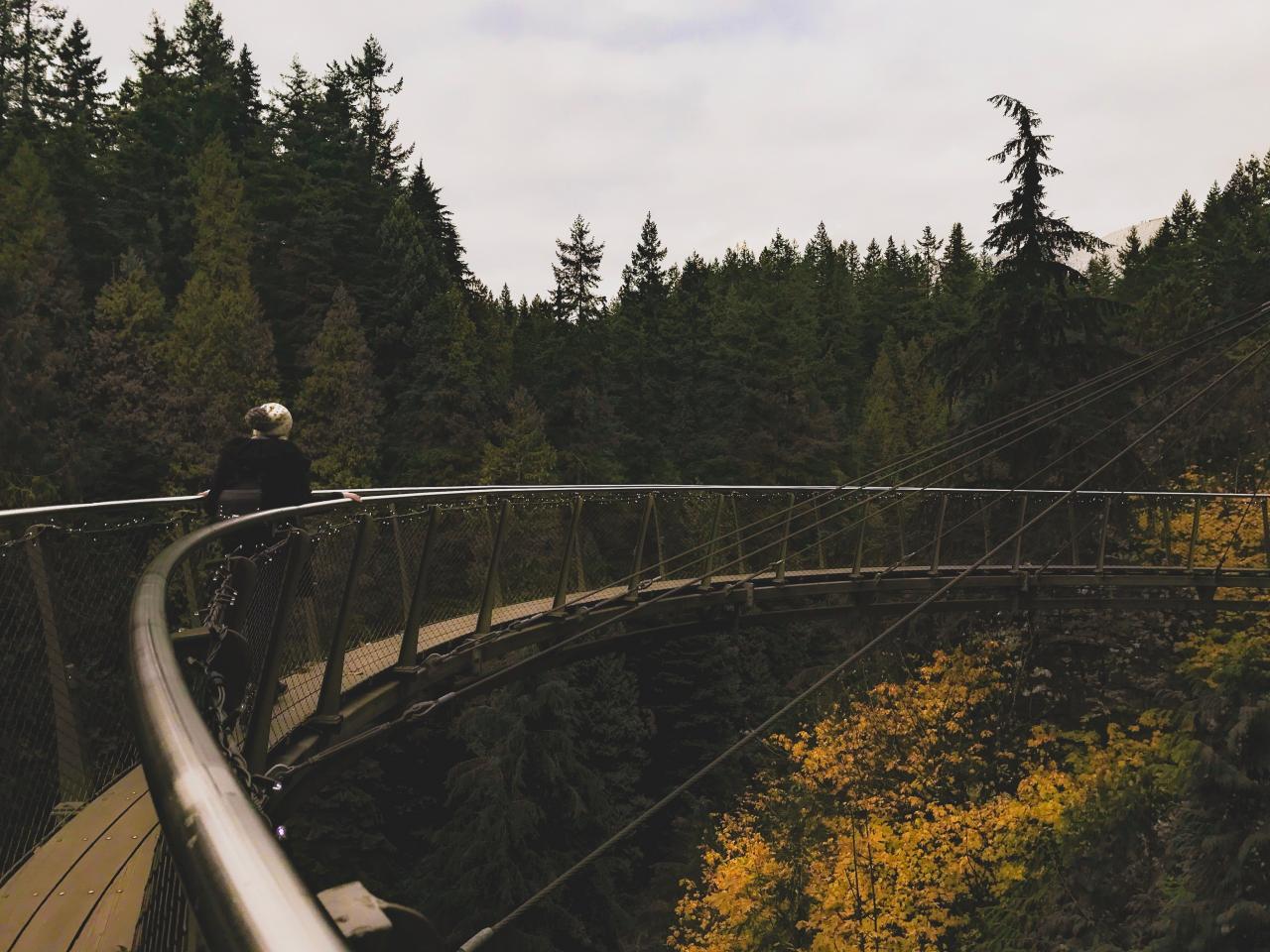 cliff walk at cap suspension bridge
