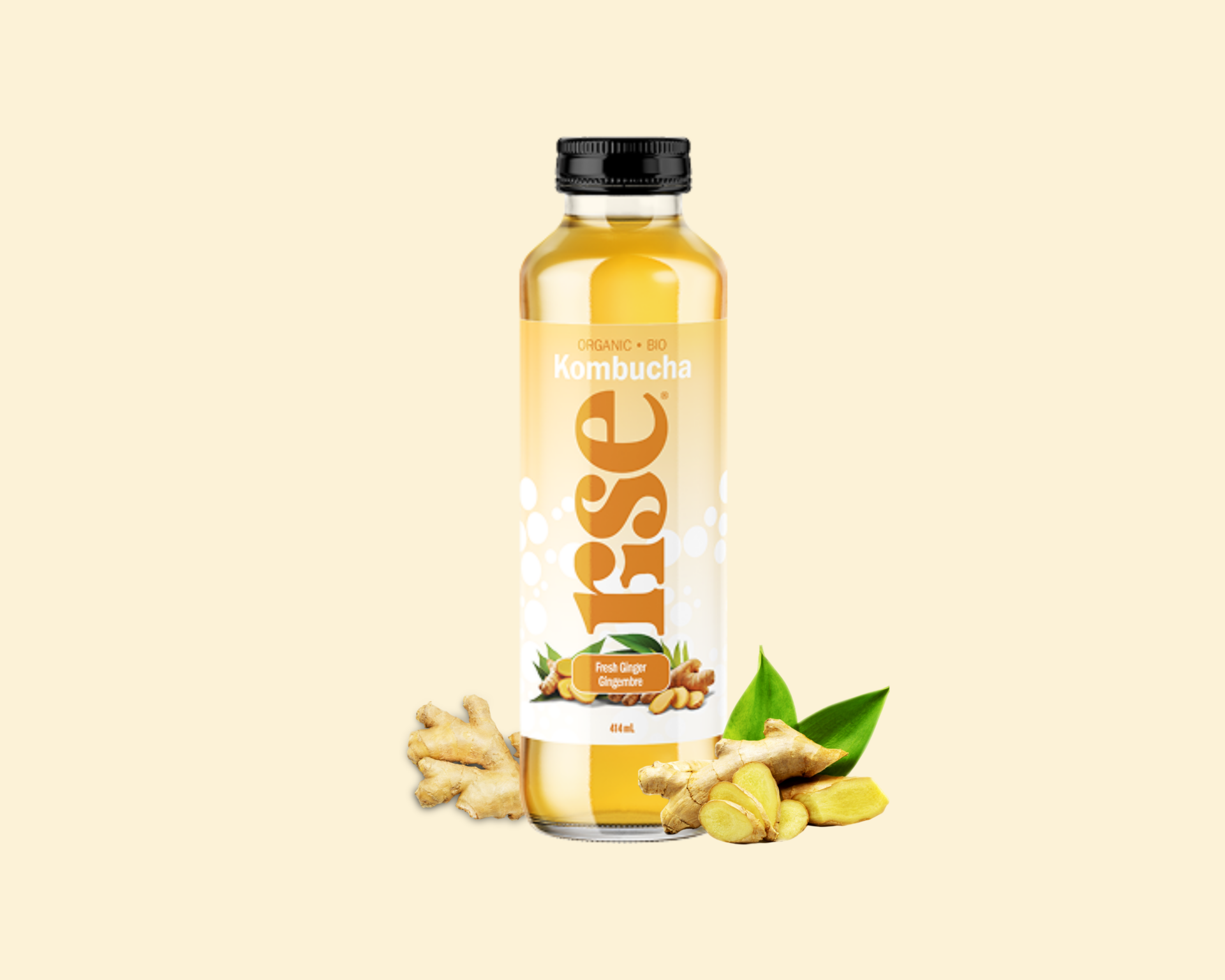 Rise Kombucha | Fresh Ginger