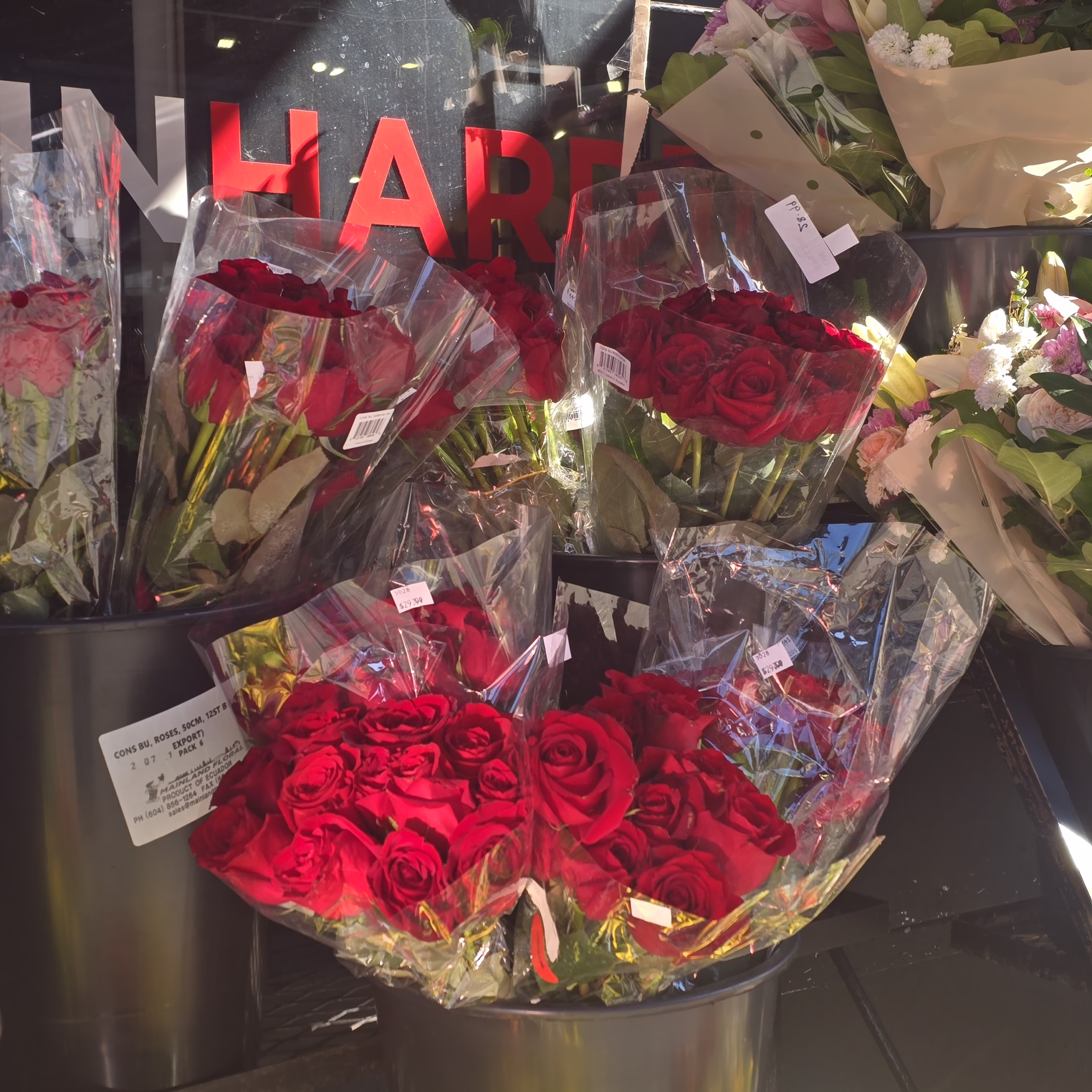 Red-Roses#1