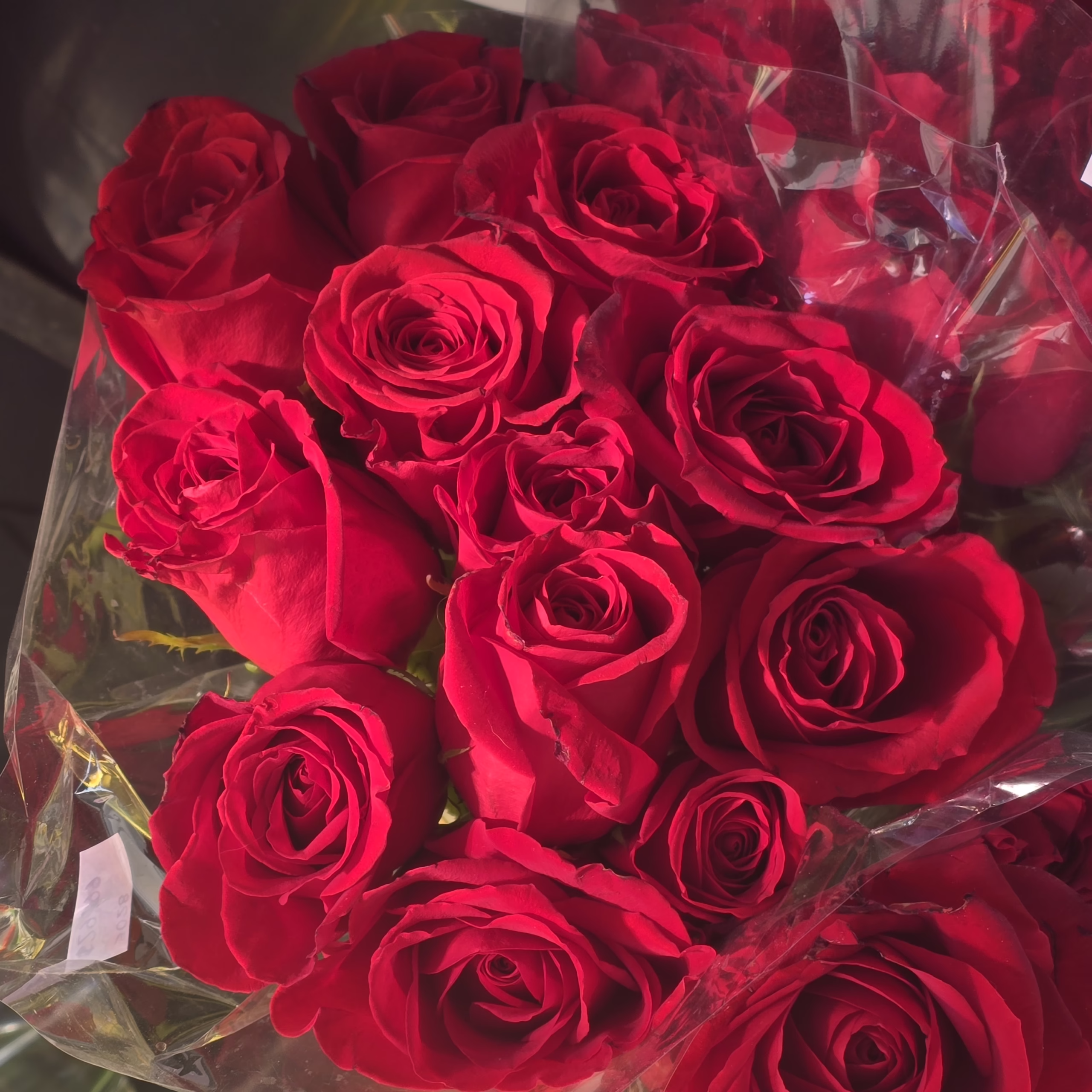 Red-Roses#3
